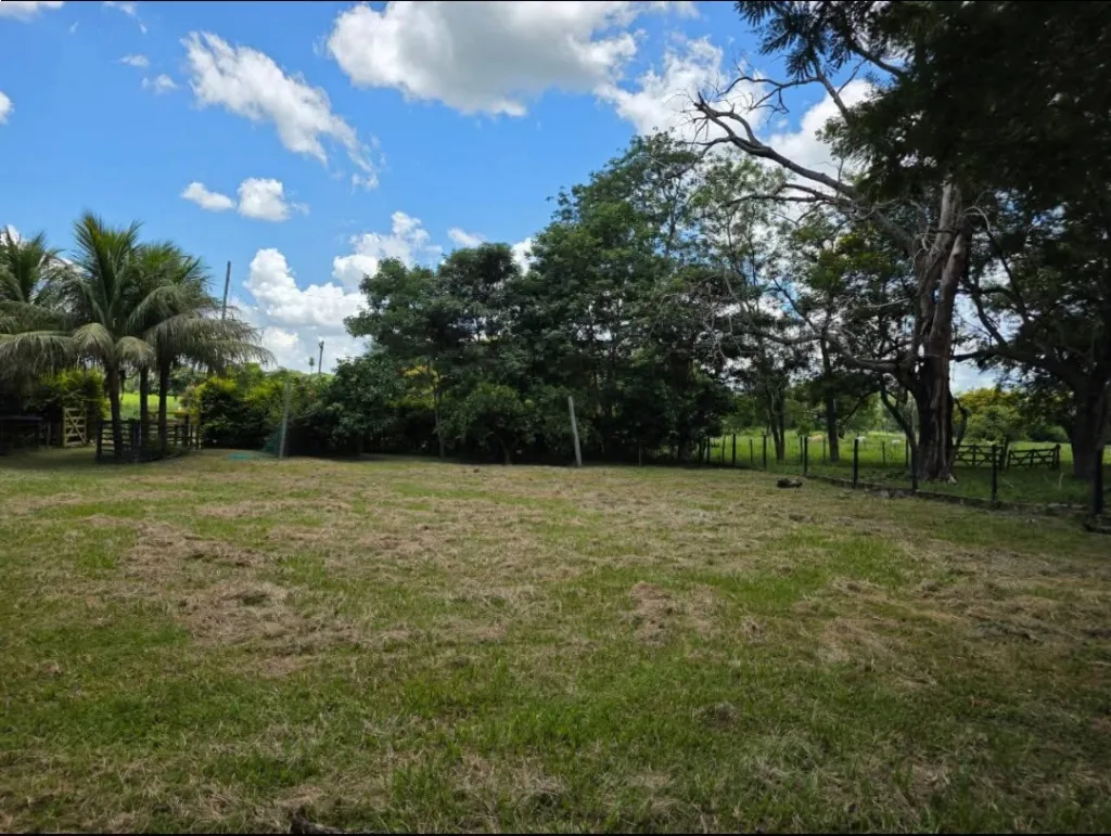 Granja de 12.7 Ha c Casa y 2 Tajamares - San Pedro (Oferta) — foto 3
