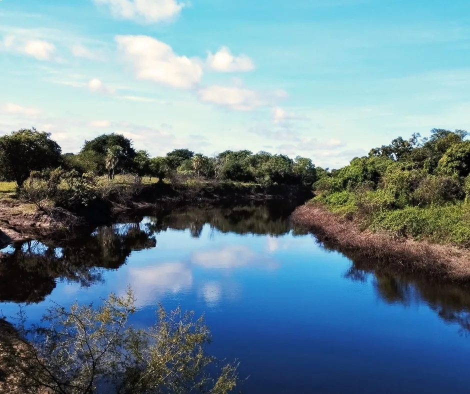 VILLA OLIVA 500 HECTÁREAS A 70 KMS DE ASUNCIÓN Y 300 METROS DE LA RUTA VILLETA ALBERDI — foto 2