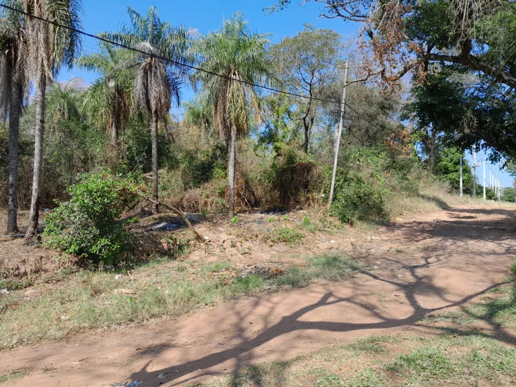 Vendo Terrenos en Aregua — foto 2