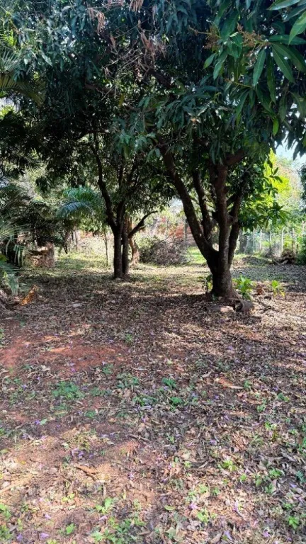 VENDO TERRENO EN LUQUE (Entrada al Barrio Palma Loma) — foto 2