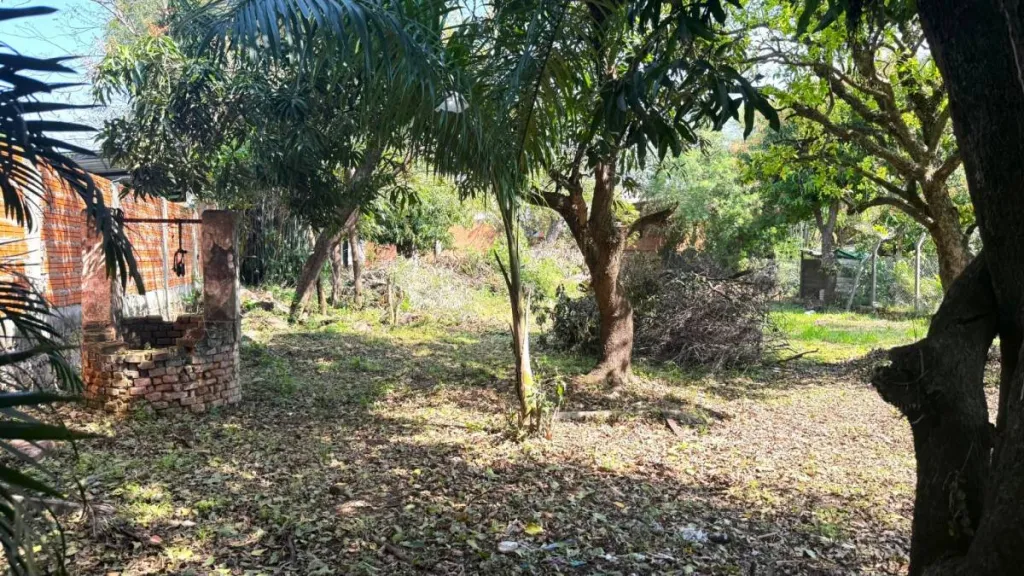 VENDO TERRENO EN LUQUE (Entrada al Barrio Palma Loma) — foto 3