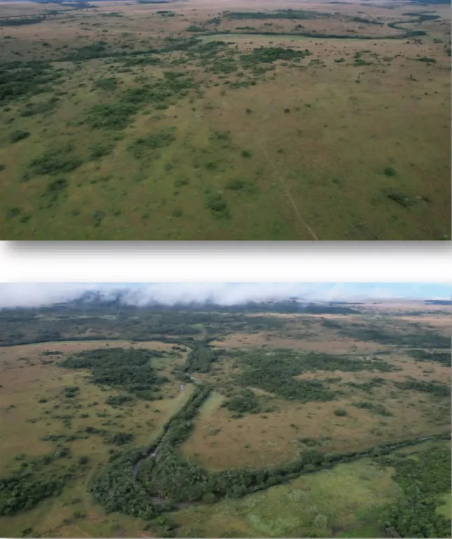 EN VENTA ESTANCIA FORMADA DE 558 HECTAREAS SOBRE RUTA 1 CAAPUCU, DEPTO. DE PARAGUARI! — foto 3