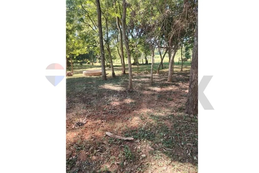 EN VENTA 24 HECTÁREAS SOBRE ASFALTO — foto 2