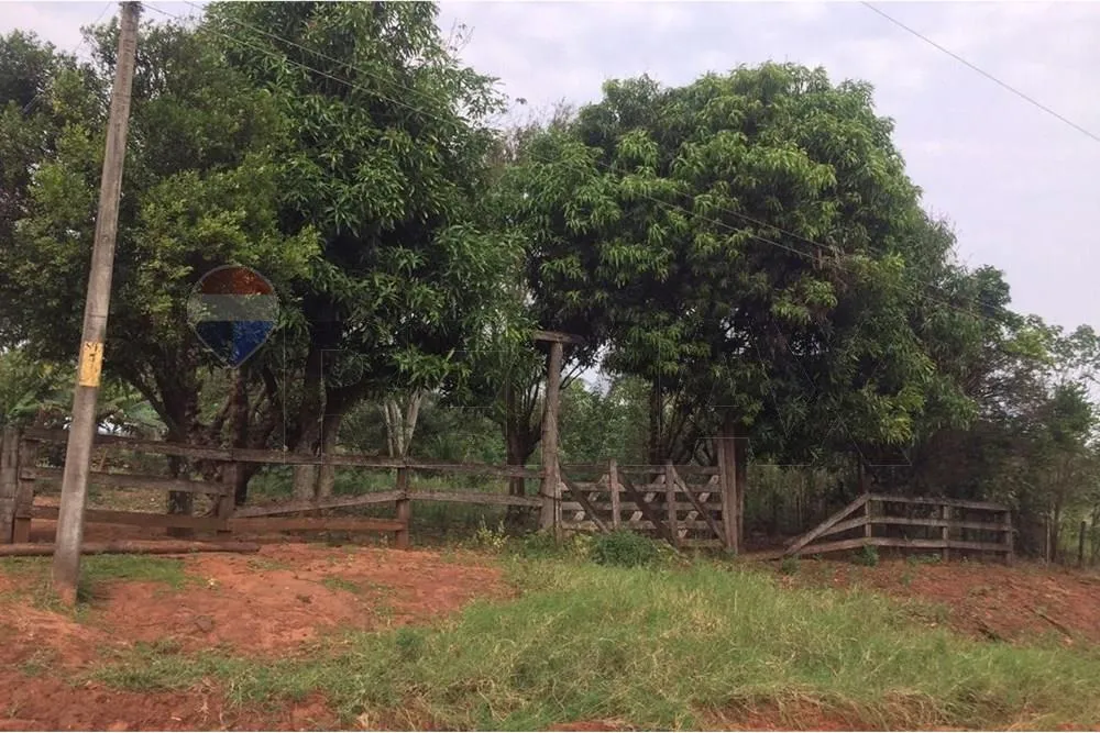 VENDO 1.4 HECTAREAS EN SANTANI — foto 2