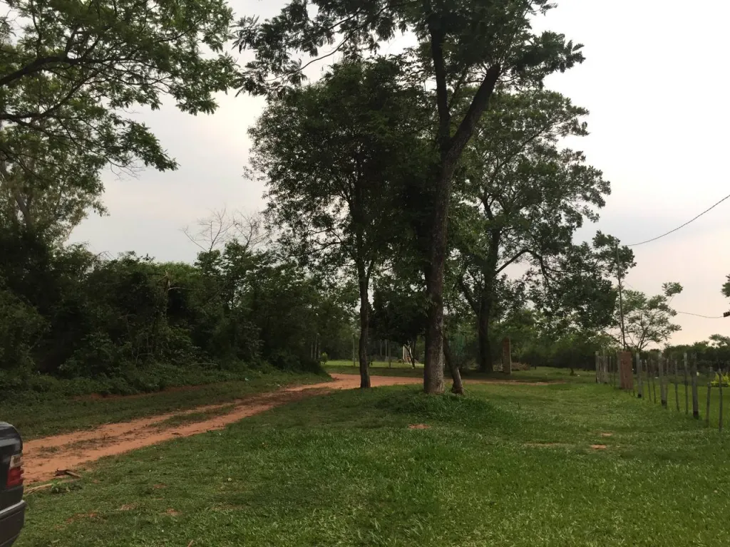 TERRENOS ARBOLADOS EN ATYRÁ CORDILLERA, SOBRE RUTA, 1.800 M², JUNTOS O SEPARADOS — foto 3