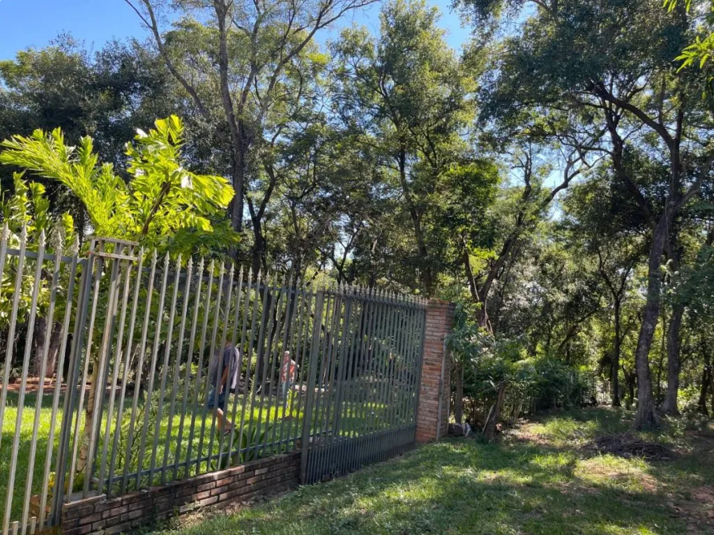 VENDO TERRENO EN LUQUE TARUMANDY — foto 3