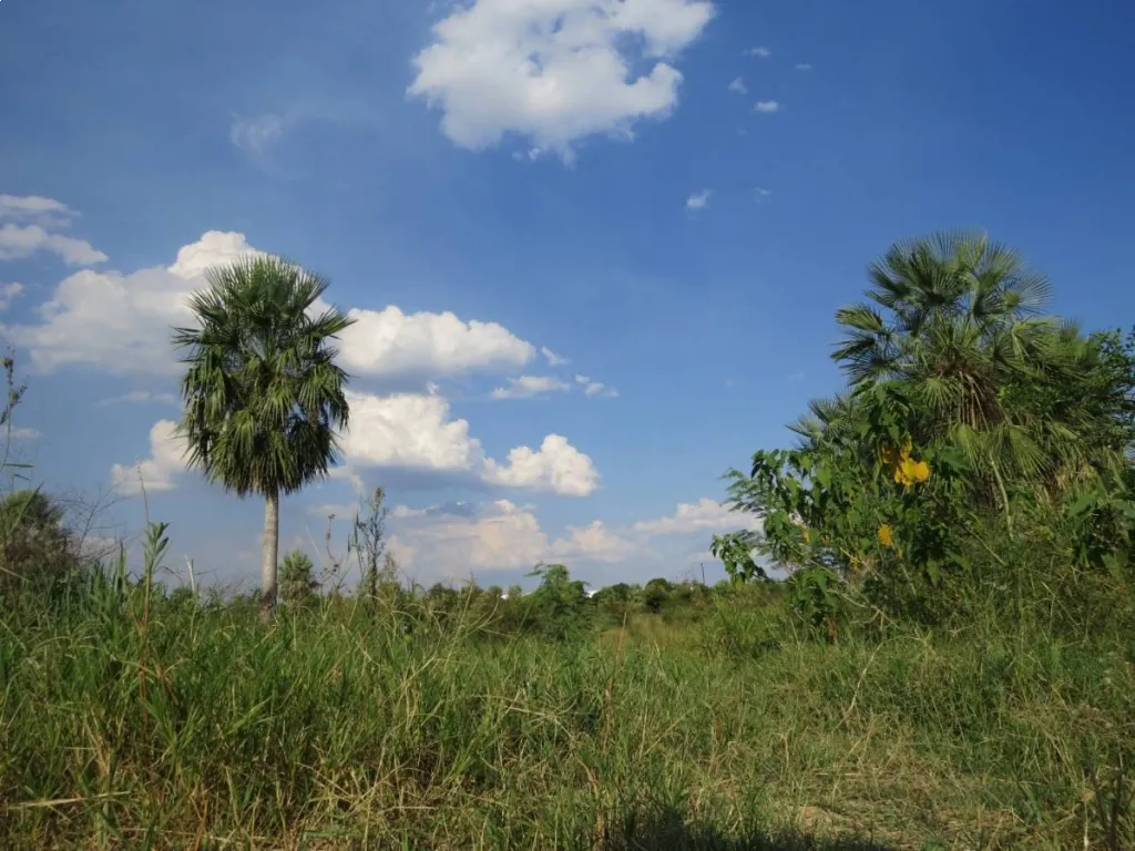 VENDO TERRENO EN LIMPIO — foto 2