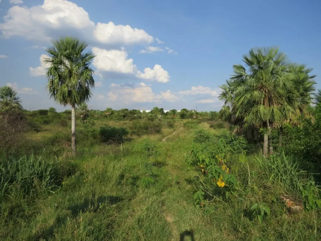 VENDO TERRENO EN LIMPIO — foto 3