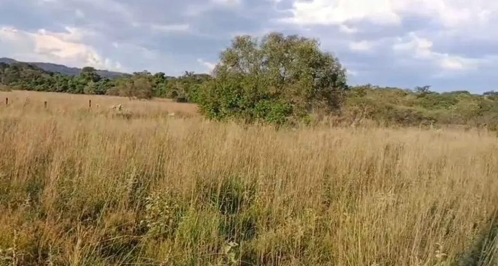 ESCOBAR, PARAGUARÍ:6 HAS, PROX. ASFALTO, SERVICIOS, VISTA PANORAMICA, SERRANÍAS. — foto 2