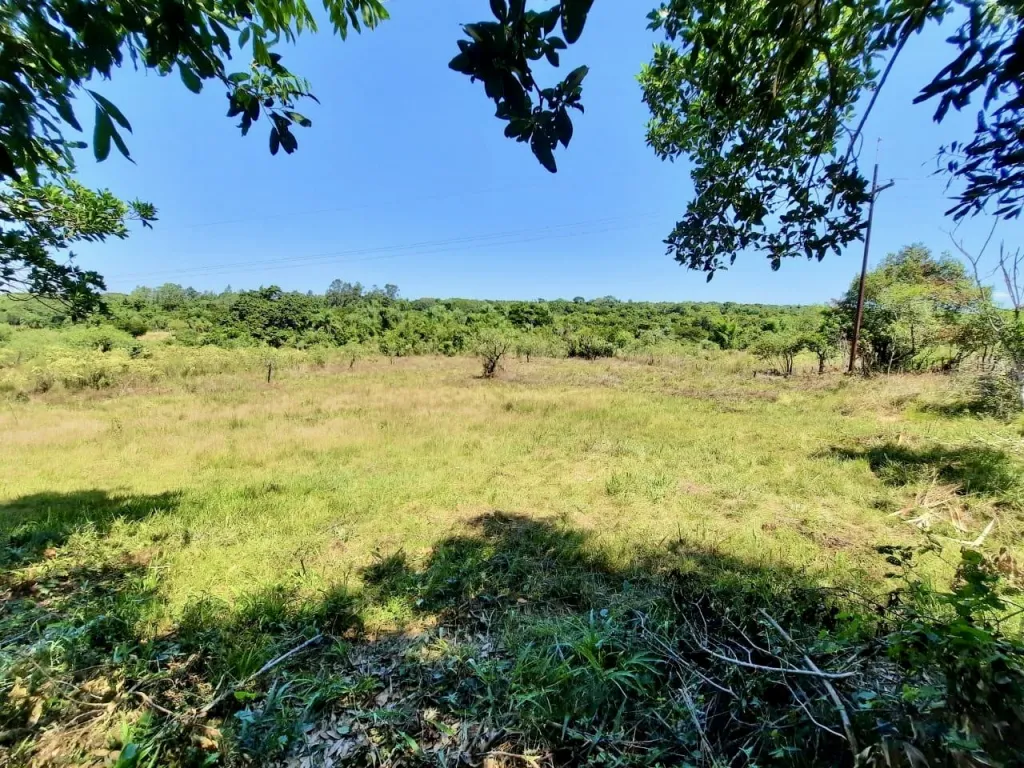 Terreno Rural en Altos sobre Ruta Pavimentada - 2 Ha. — foto 3
