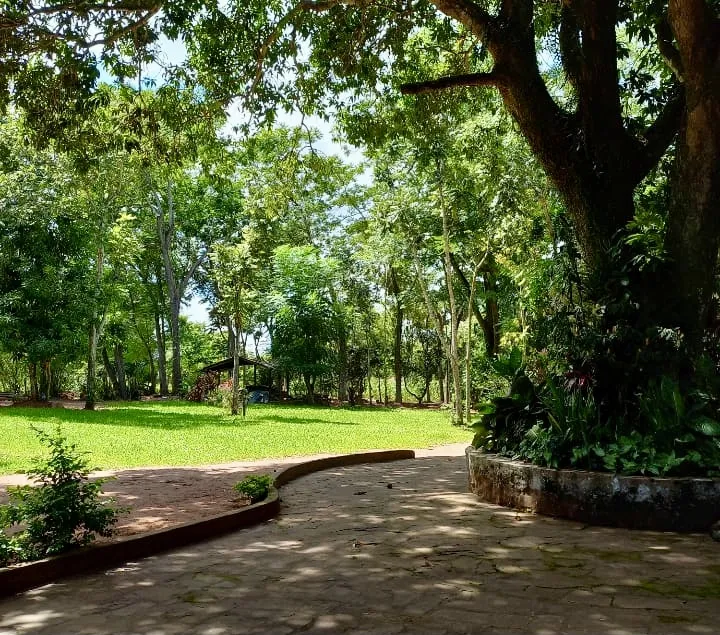 Granja en Eusebio Ayala - 2 Ha. — foto 2