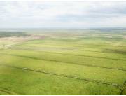 Campo Agrícola Mecanizado en Carayaó - 483 Ha.