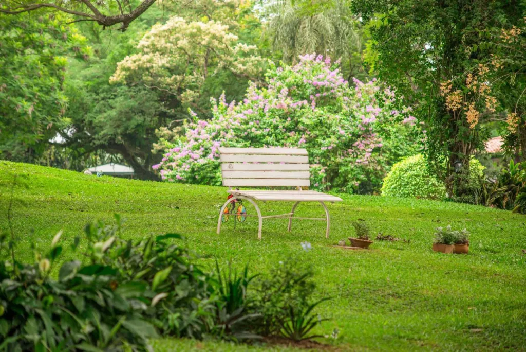 Vendo 1 Lote en cementerio - Lambaré 📍 Ubicado en Jardín de la Paz - Campo Santo. — foto 3