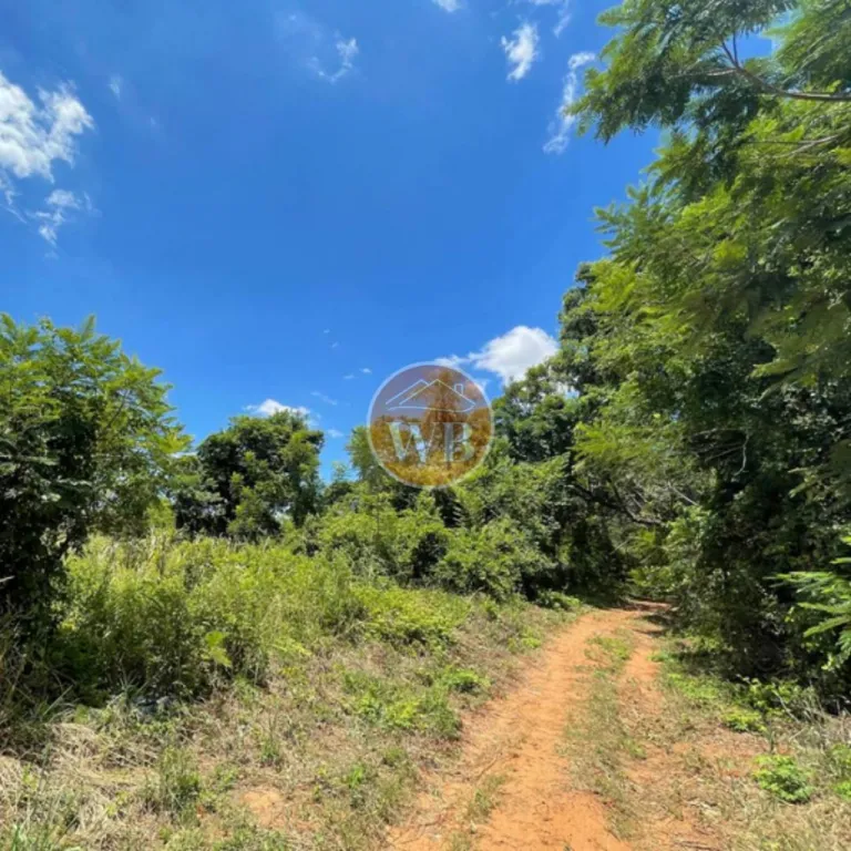 VENDO 3 TERRENOS – Ciudad de Areguá, Barrio Kokue Guasu 📍 A 50 mts de asfalto — foto 3