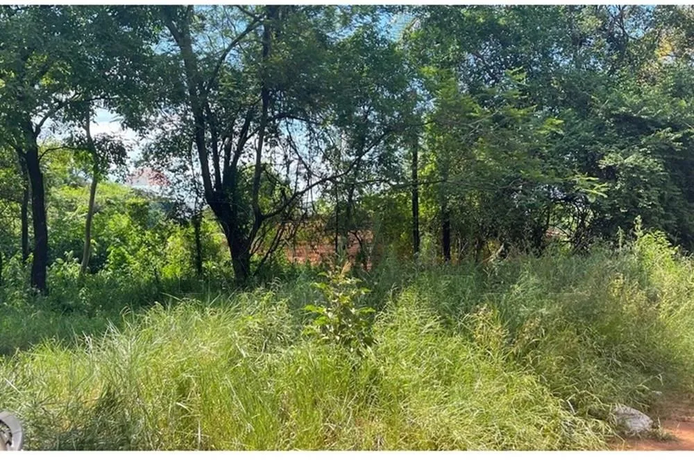 VENDO Terreno de 1 Hectárea en LUQUE — foto 3