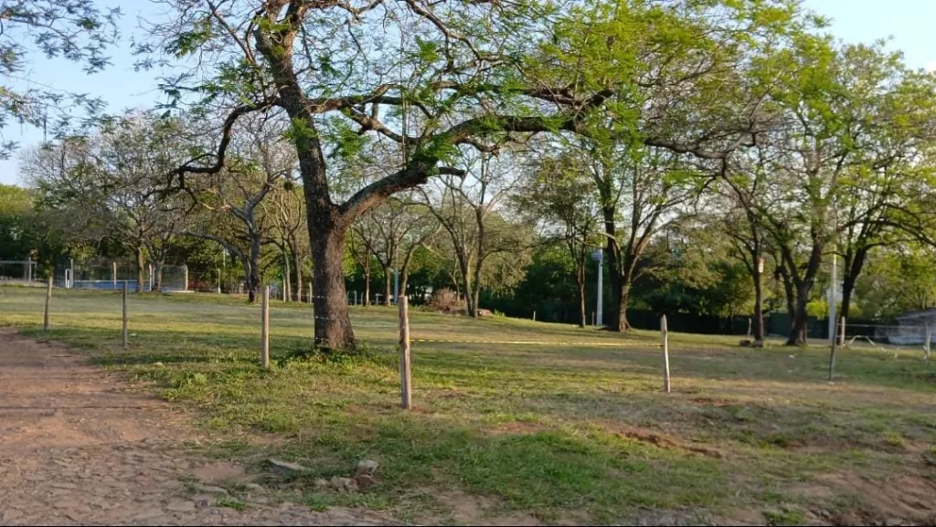 HERMOSA PROPIEDAD EN LA SUIZA, SAN BERNARDINO, SOBRE AV. WENCESLAO LÓPEZ, 903,5 M² — foto 3