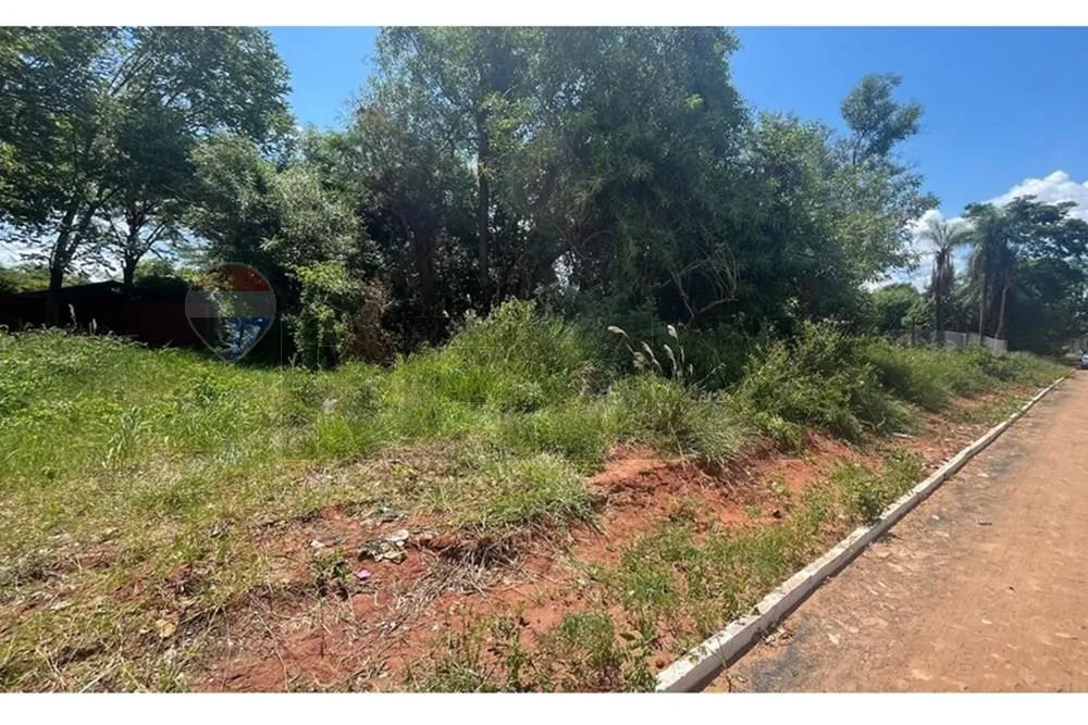 VENDO Terreno de 1 Hectárea en LUQUE — foto 3