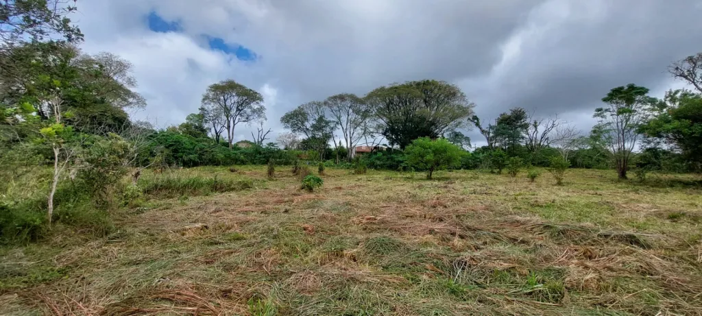 VENDO 3 HECTÁREAS EN OBLIGADO, ITAPUA — foto 2