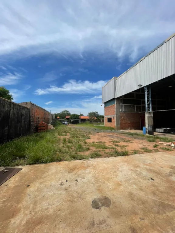 vendo TINGLADO EN LIMPIO — foto 2
