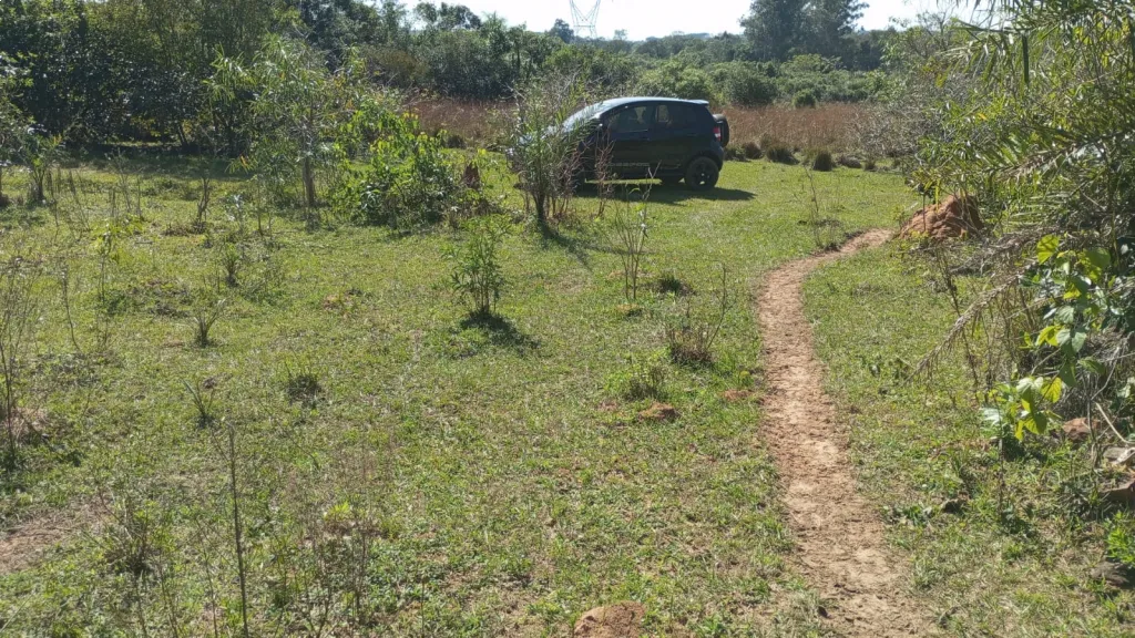 VENDO 6 HECTAREAS ITACURUBI DE LA CORDILLERA — foto 2