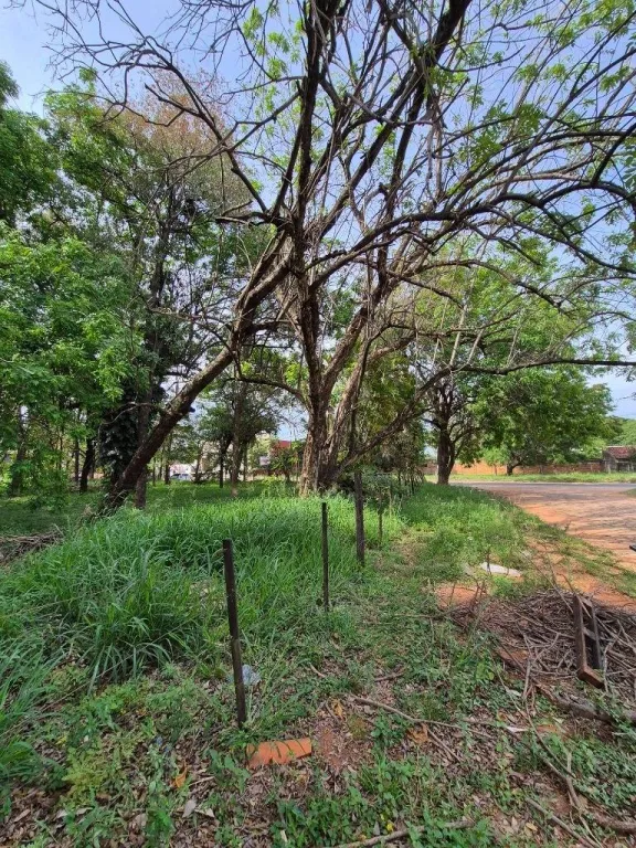 En Venta Terreno Mariano Roque Alonso ID 46176 — foto 2