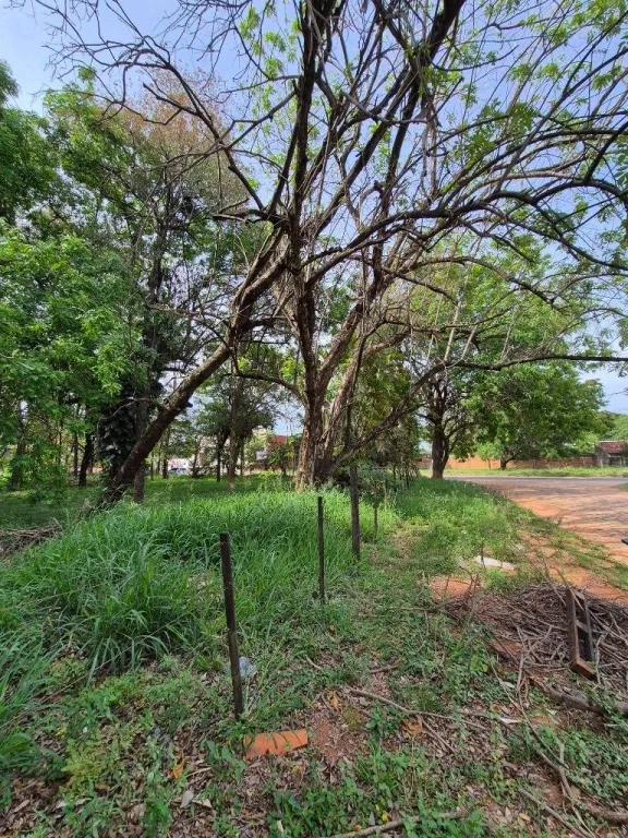 IMPORTANTE PROPIEDAD EN VENTA EN MARIANO ROQUE ALONSO — foto 3