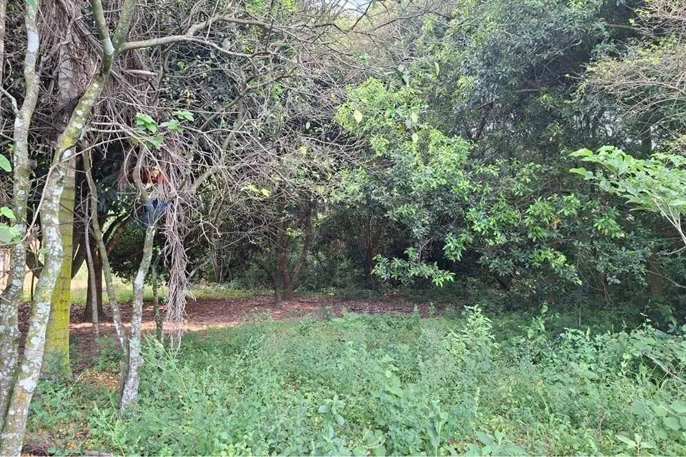 VENDO AMPLIO TERRENO EN ALTOS 8.463 M2 — foto 2