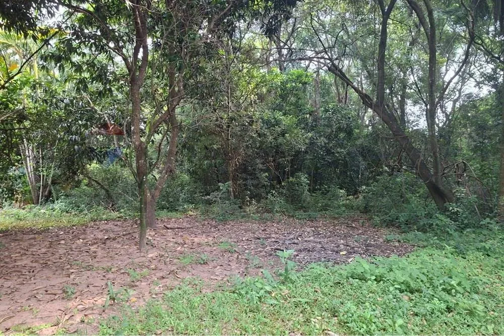 VENDO AMPLIO TERRENO EN ALTOS 8.463 M2 — foto 3