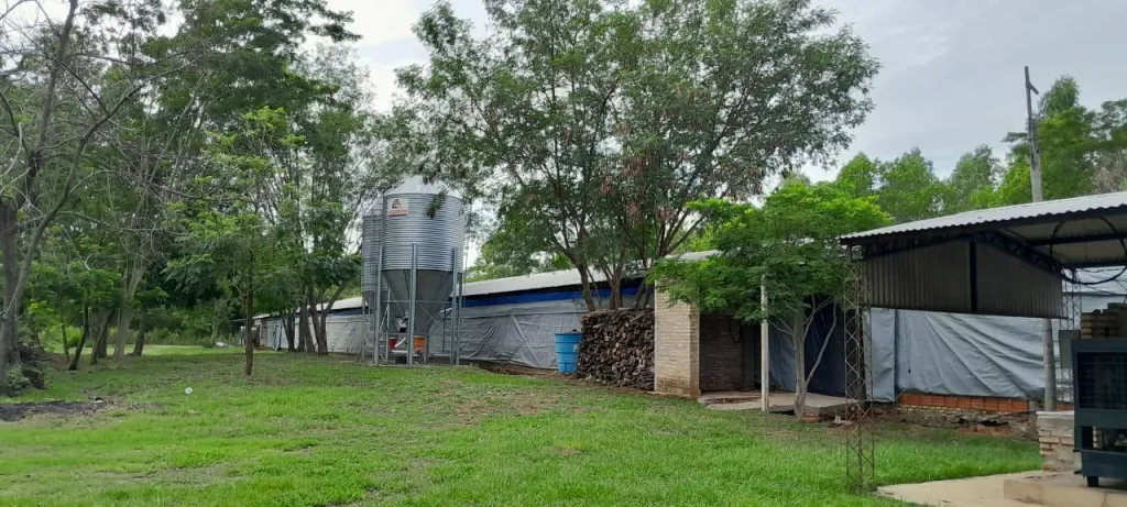 VENTA DE GRANJA AVICOLA EN VILLETA ZONA ALTA COD 1225 — foto 2