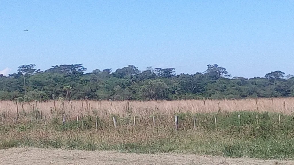 Oportunidad 126 ha con Rio y Playa en Iturbe-Guaira — foto 2