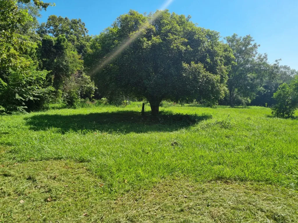 EN VENTA PROPIEDAD GRANJA LA CASONA CON 23.000 M2 (2,3 HECTAREAS), ZONA CAPIATA RUTA!1 — foto 2