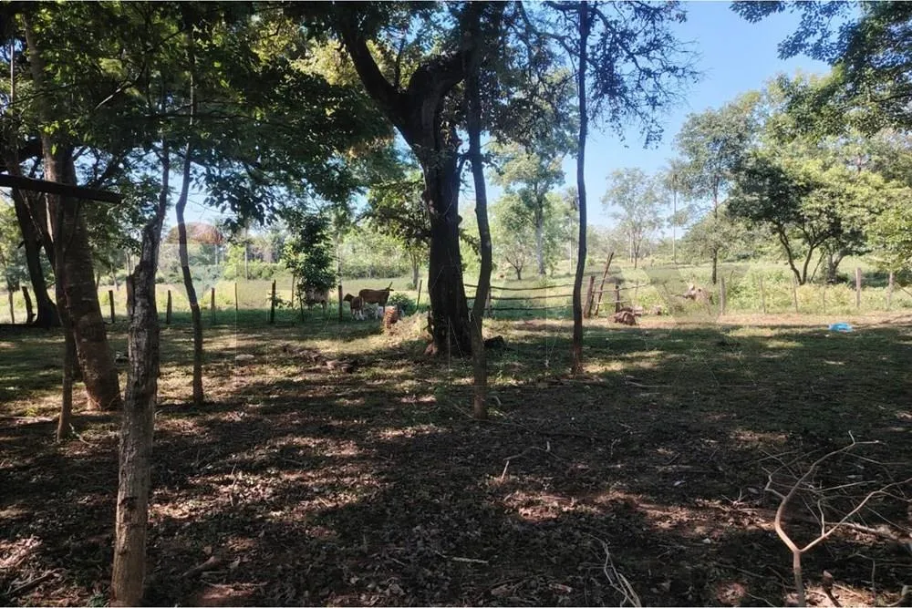 VENDO 24 HECTAREAS SOBRE ASFALTO EN SAN PEDRO — foto 2