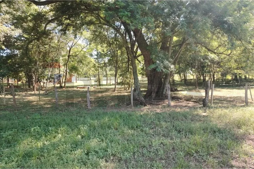 VENDO 24 HECTAREAS SOBRE ASFALTO EN SAN PEDRO — foto 3
