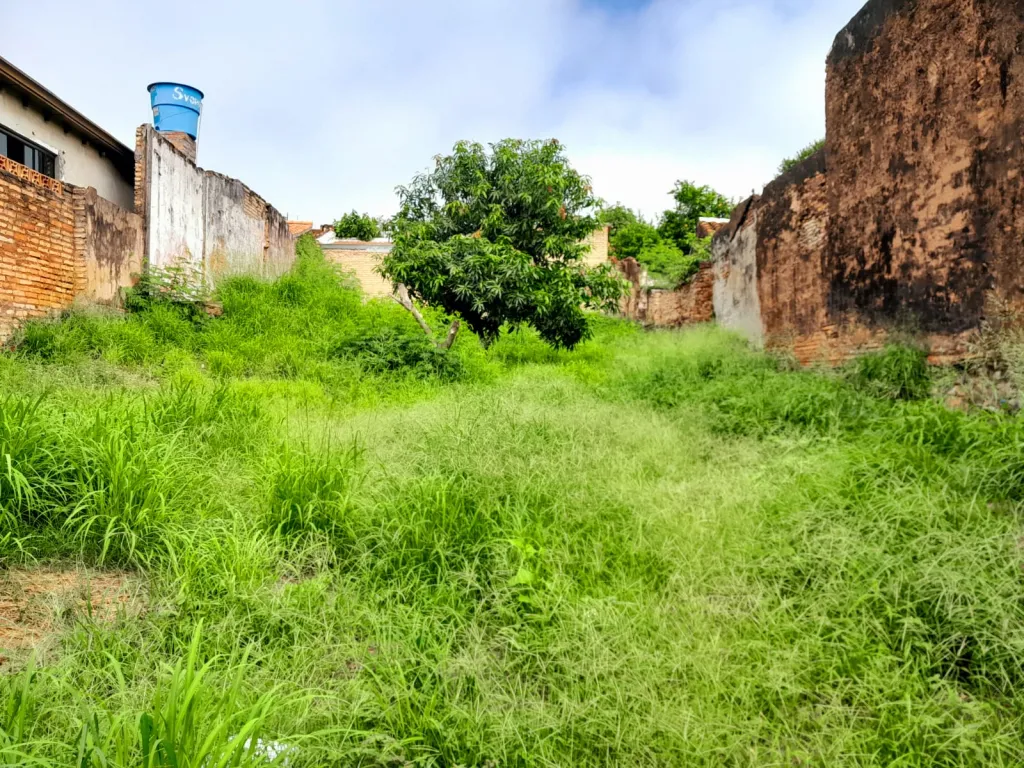 VENTA DE TERRENO EN SAJONIA — foto 2