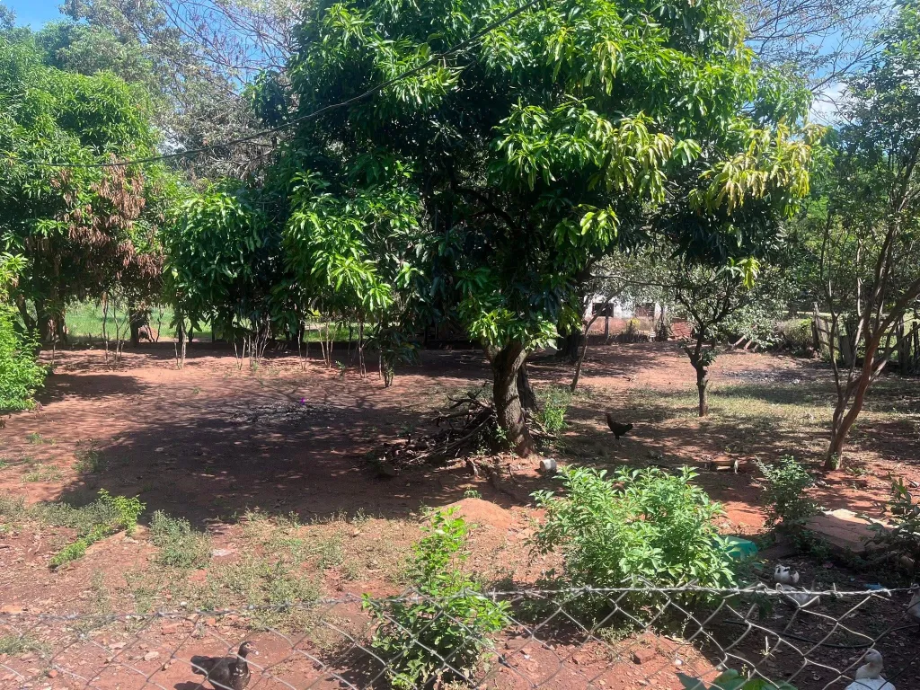 Alquilo casa en Santa Rosa misiones — foto 2