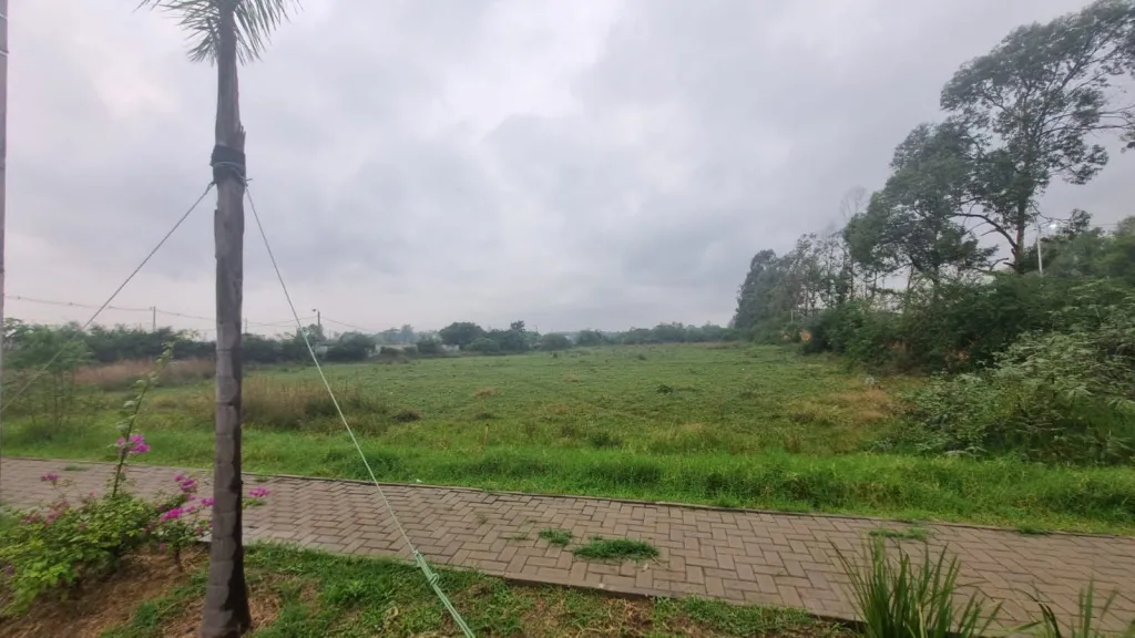 Vendo Terreno de 1 Hectárea en Luque, Zarate Isla - LLA7867024 — foto 3