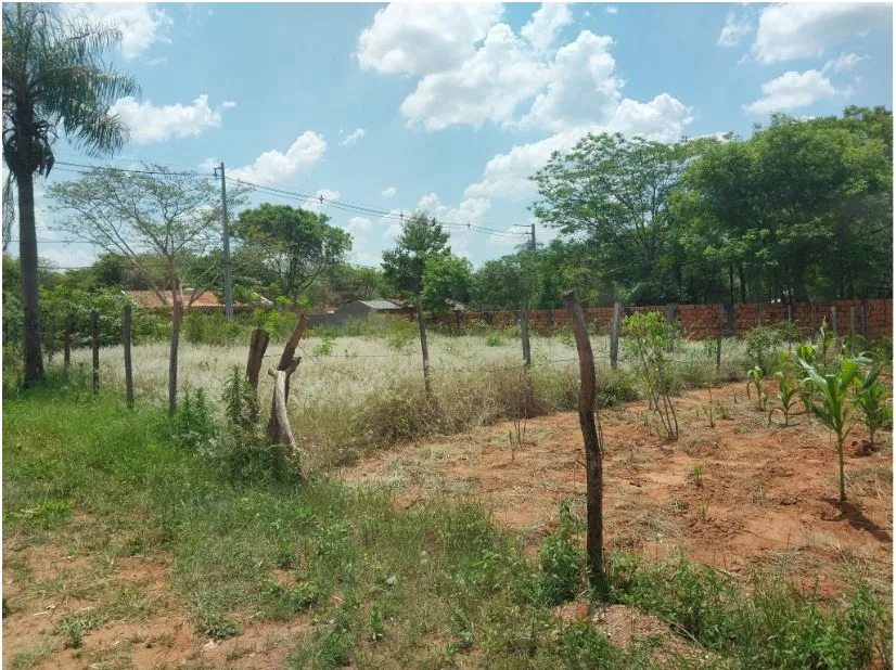 Terreno en venta en Ykua Dure, Luque — foto 2