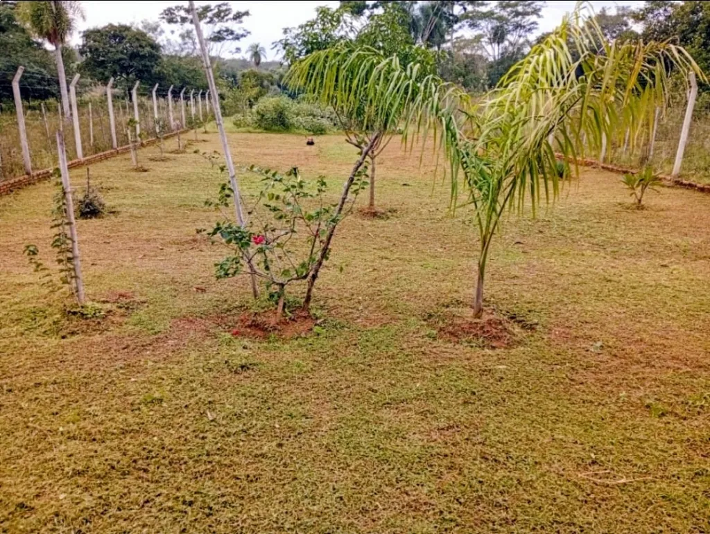 Vendo imponente terreno de 2.775 m2 en Yaguarón — foto 2