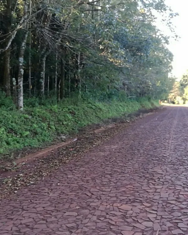 AMPLIO TERRENO EN VENTA EN EL CENTRO URBANO DE OBLIGADO, ITAPÚA — foto 3