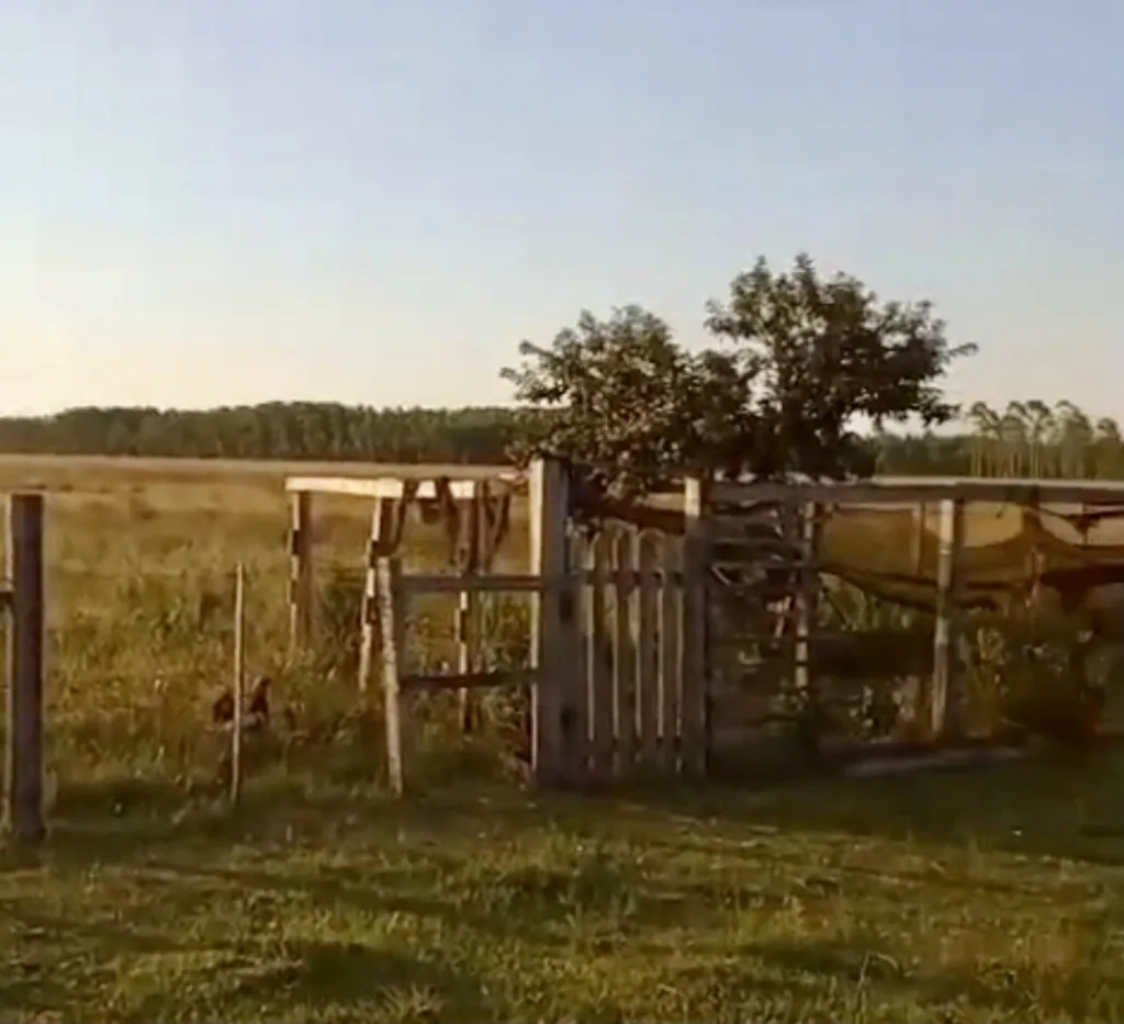 Campo Ganadero en Iturbe - 126 Ha. — foto 3