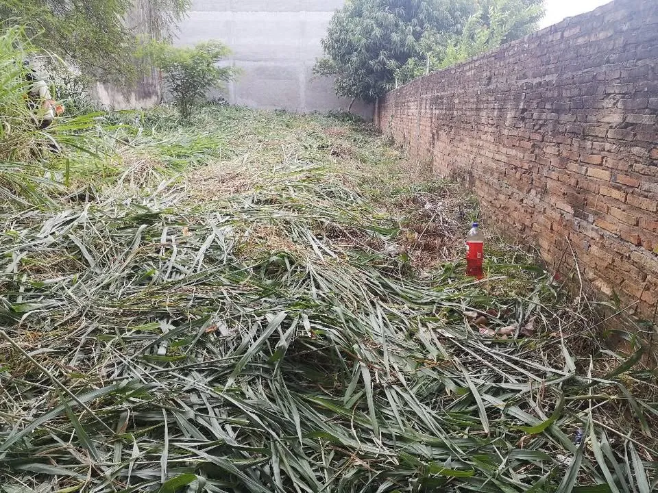 Vendo Terreno de 12x36 m2 en barrio Picada de Villa Elisa zona Parque Serenidad — foto 2