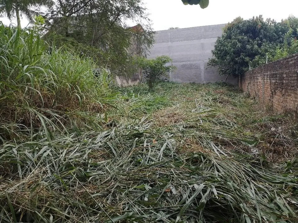 Vendo Terreno de 12x36 m2 en barrio Picada de Villa Elisa zona Parque Serenidad — foto 3