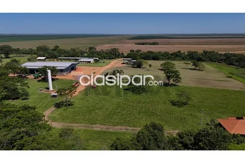Granja Agrícola-Venta-PY Itapúa General Artigas — foto 2