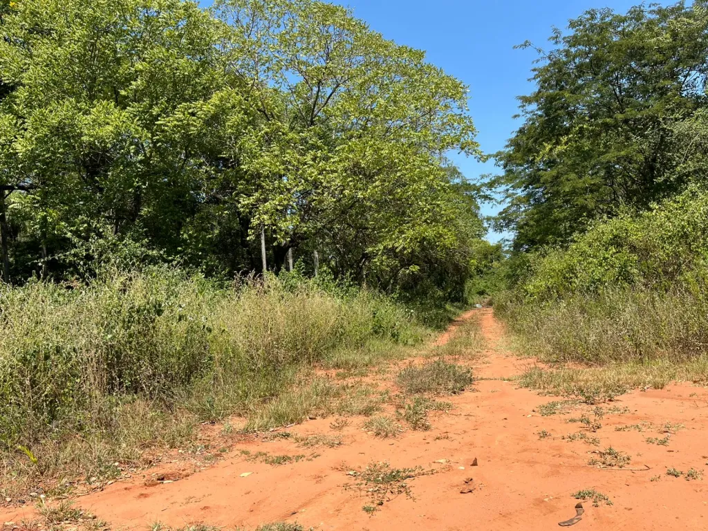 Terreno en venta a 1,9 km del Aeropuerto - Zárate Isla — foto 2