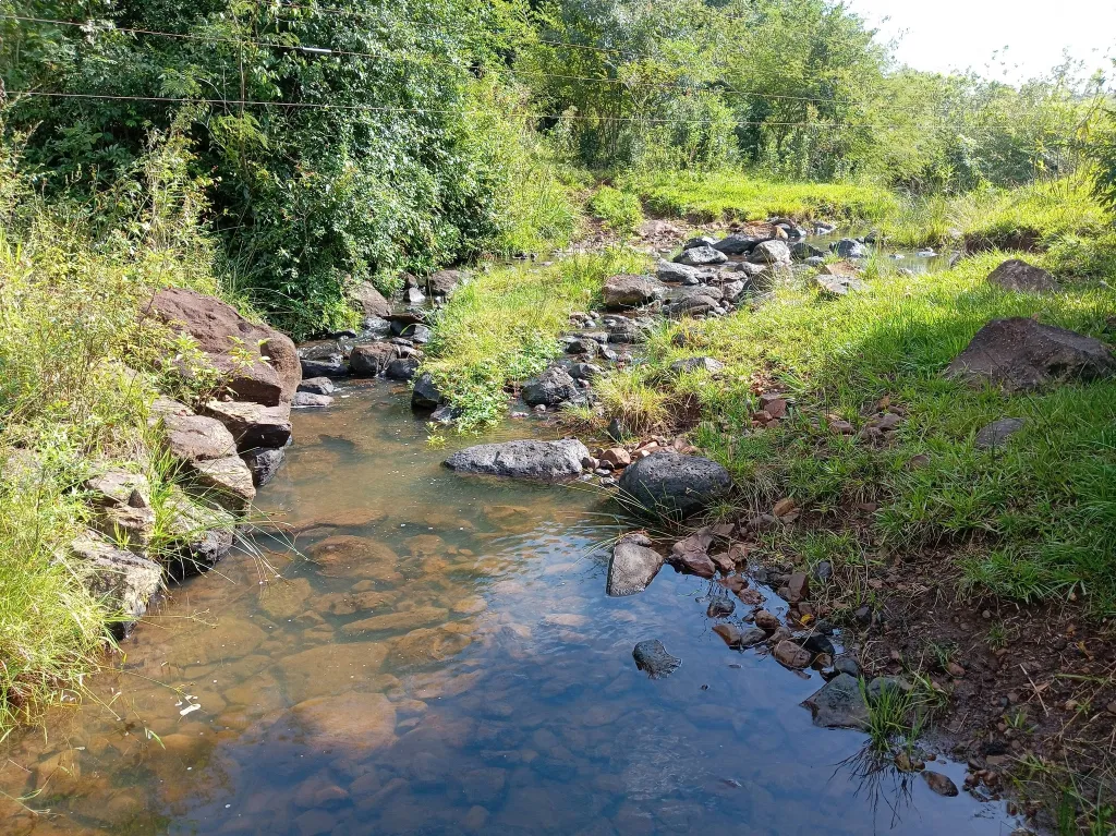 Campo en venta en Encarnación — foto 3