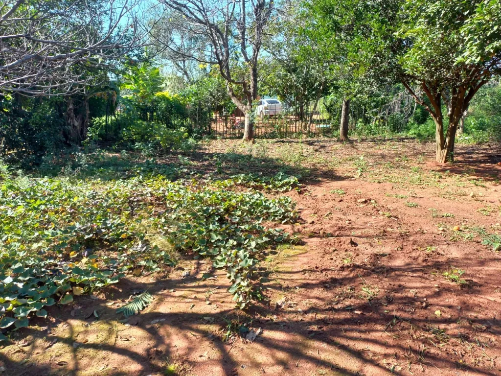 Vendo casa con terreno en Capiatá Yvyraro COD 6421 — foto 2