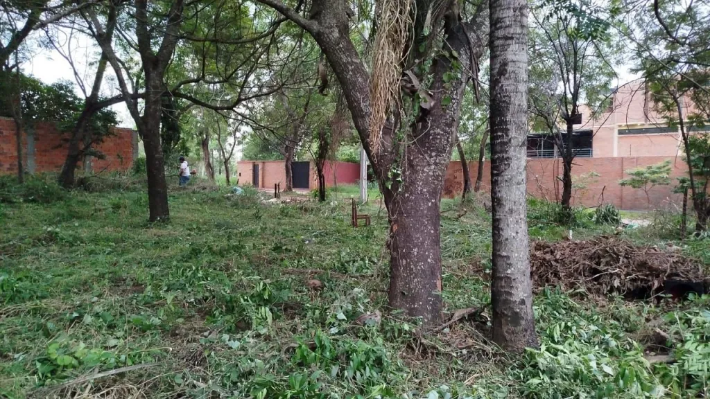 Se vende Terreno de 2.151 m2. en Luque — foto 2