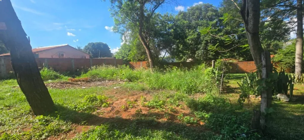 VENDO TERRENO EN LUQUE – COSTA SOSA — foto 2