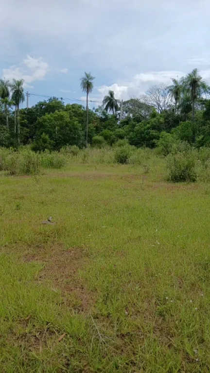 Vendo Terreno sobre Asfalto en Loma Grande Cordillera COD 6412 — foto 2