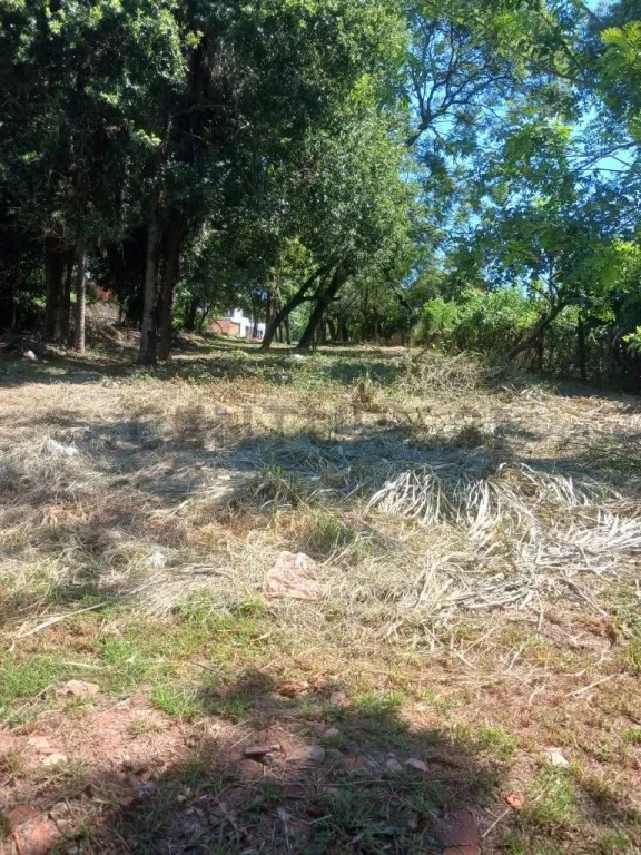 VENDO TERRENO EN SAN LORENZO — foto 2